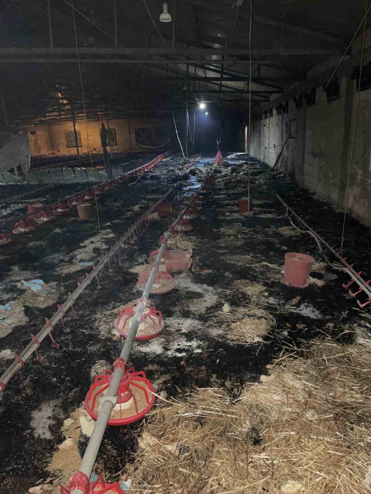 Bolu’da kümes yangını: 24 bin civciv telef oldu