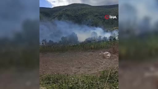 Korkutan ot yangını evlere sıçramadan söndürüldü