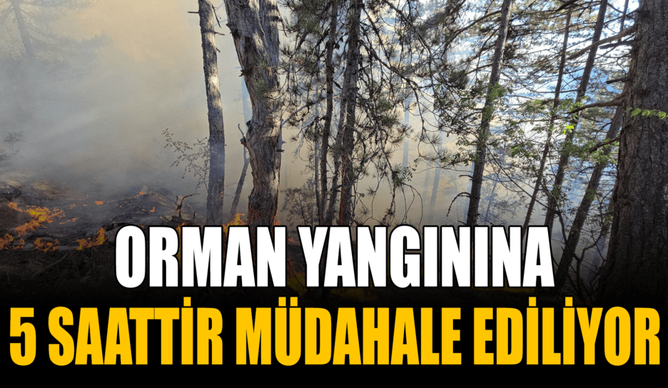 Karabük’teki orman yangınını söndürme çalışmaları 5 saattir sürüyor