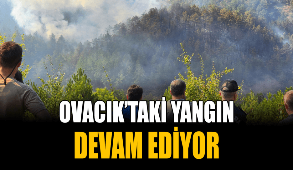Karabük'teki yangın devam ediyor