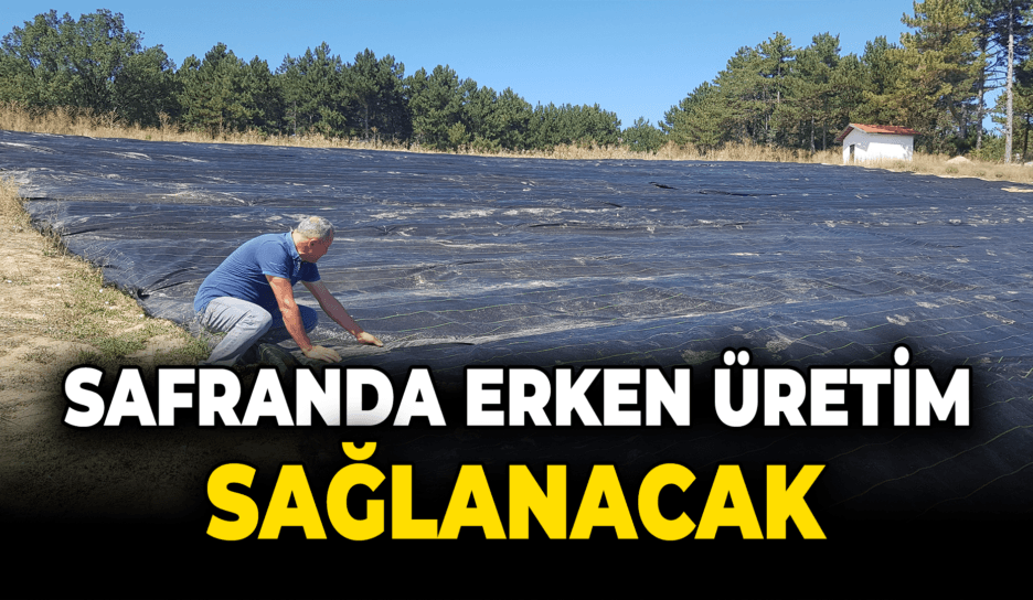 Örtü sistemi "Dünyanın en pahalı baharatı" safranda erken üretimi sağlayacak