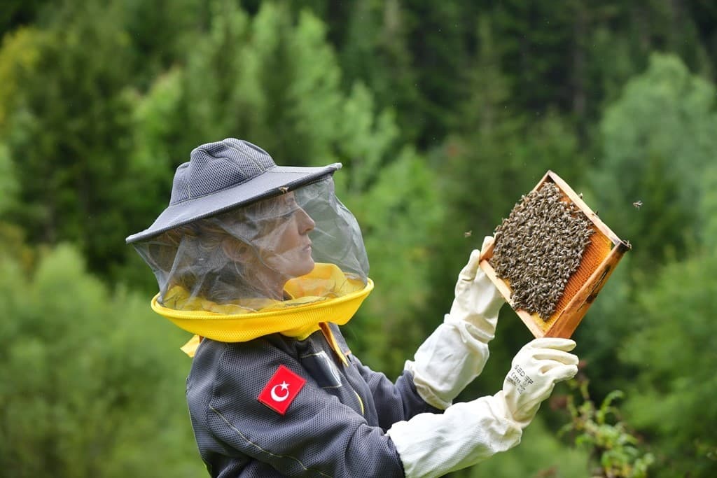 Artvin’de arıcılığı turizmle buluşturmak için rota belirleniyor