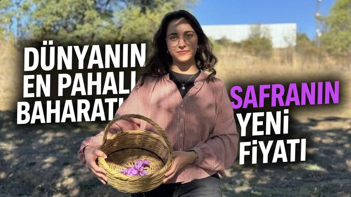 Dünyanın en pahalı baharatı safranın yeni fiyatı