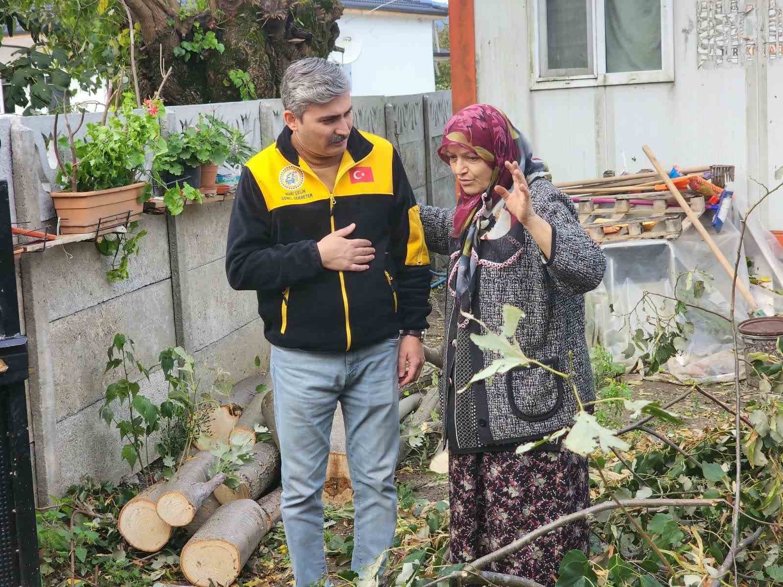 Evin üzerine devrilen ağaç kaldırıldı