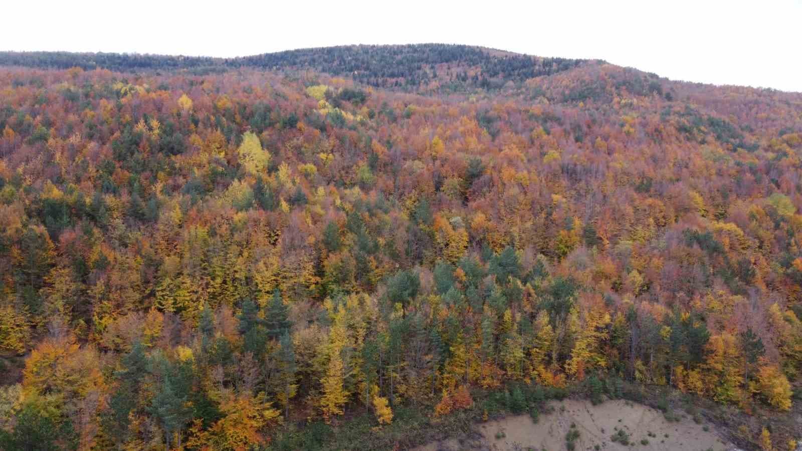 Bolu-Mudurnu kara yolunda sonbahar cümbüşü havadan görüntülendi