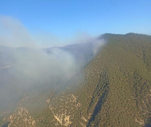 Bolu’daki orman yangınına havadan müdahale sürüyor