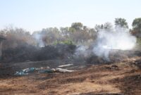 Bolu’da havadan ve karadan müdahale edilen yangın 3 saatte denetim altına alındı