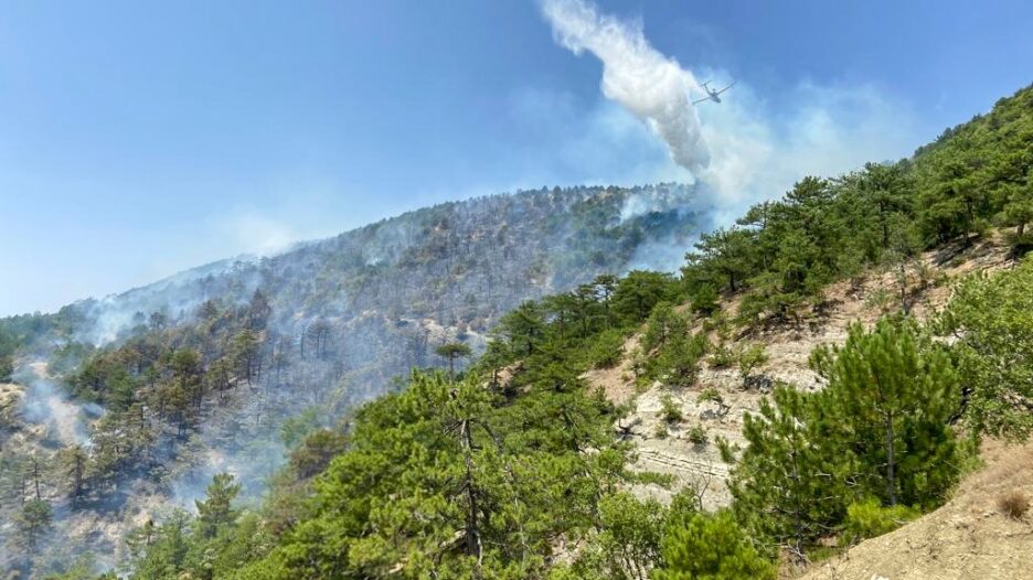 Bolu’daki orman yangına müdahale sürüyor