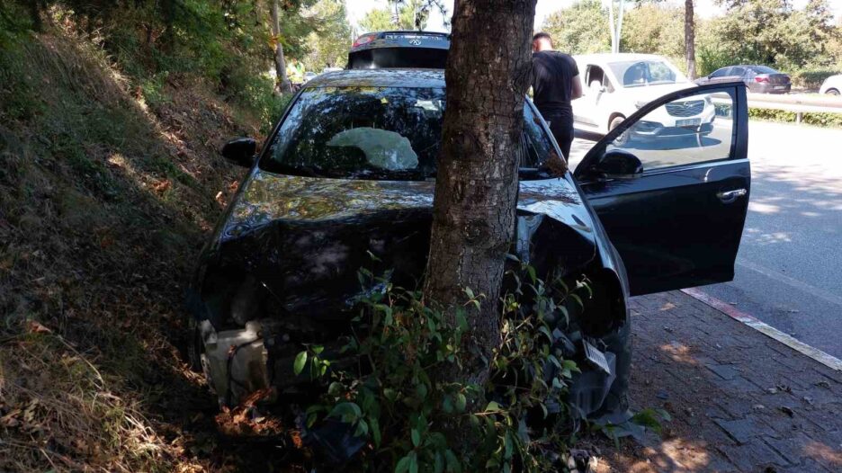 Samsun’da araba ağaca çarptı: 1 yaralı