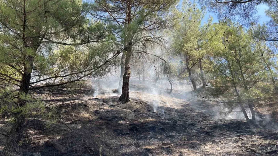 Kastamonu’da orman yangını: Takımların müdahalesi ile kısa müddette söndürüldü
