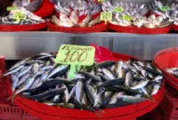 Trabzon’da balık av dönemi sönük başladı