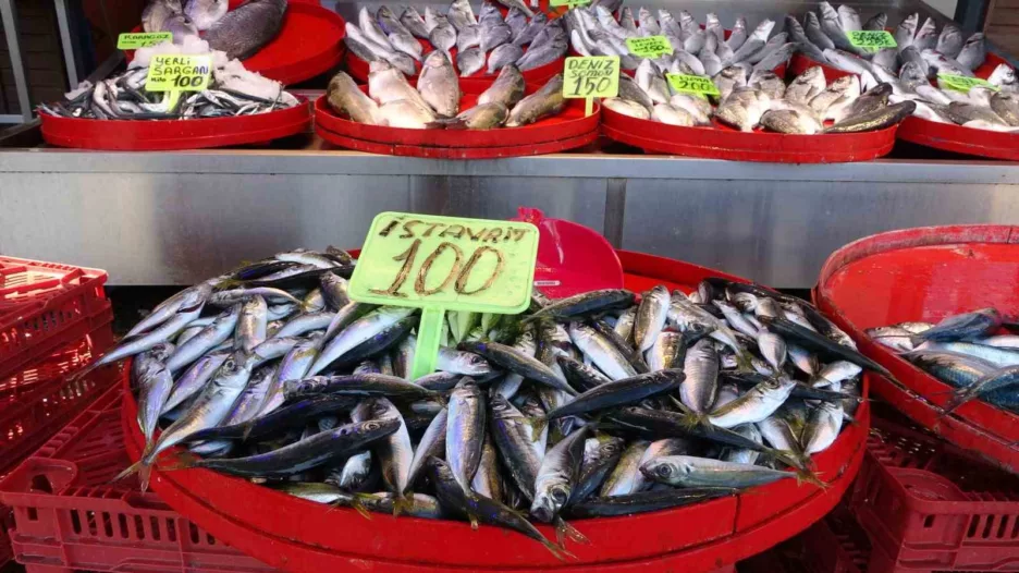 Trabzon’da balık av dönemi sönük başladı