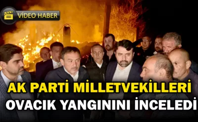 AK Parti Milletvekilleri Ovacık Yangınlarını İnceledi!