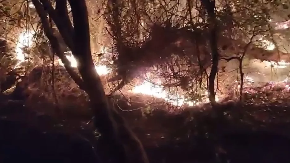 Marmaris’te yıldırım düşmesi sonucu orman yangını çıktı