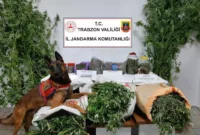 Trabzon’da 41 kilogram uyuşturucu madde ele geçirildi, 5 şüpheli gözaltına alındı