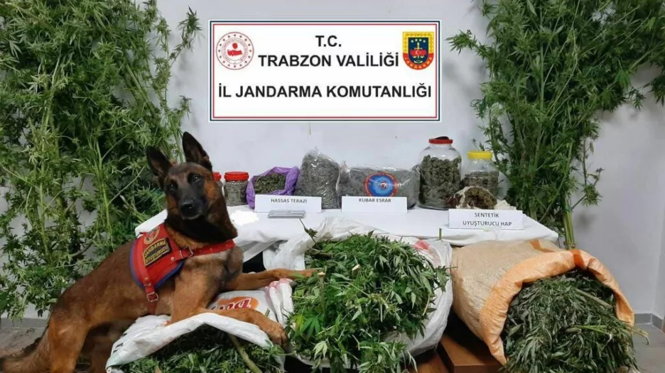 Trabzon’da 41 kilogram uyuşturucu madde ele geçirildi, 5 şüpheli gözaltına alındı