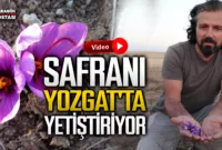 Safranbolu Safran’ı Yozgat’ta..!