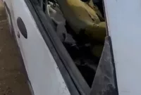Aç ayı otomobilin camını kırıp içine girdi
