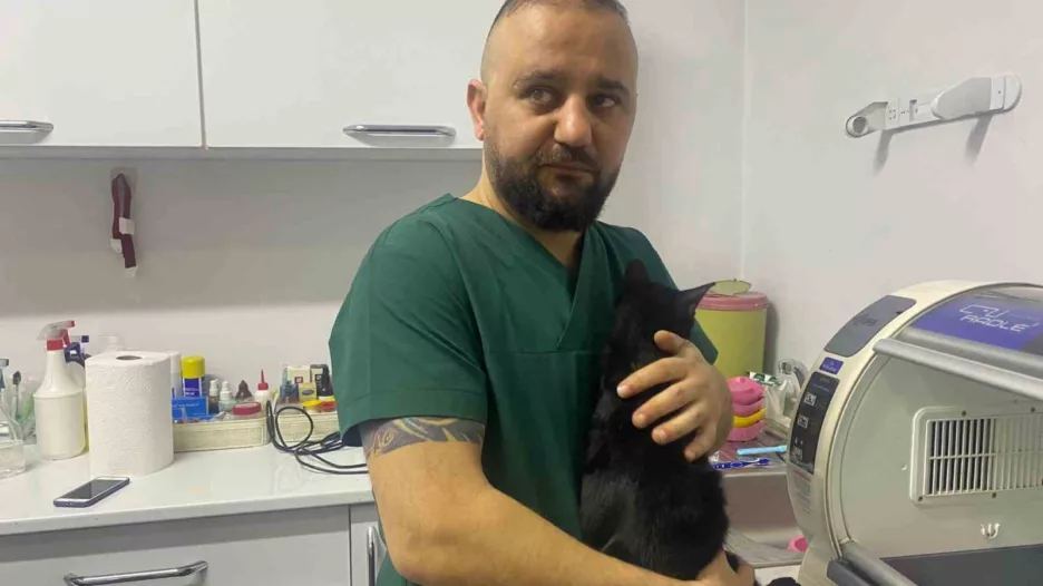 Zonguldak’ta 6. kattan düşen kedinin kaval kemiği kırıldı
