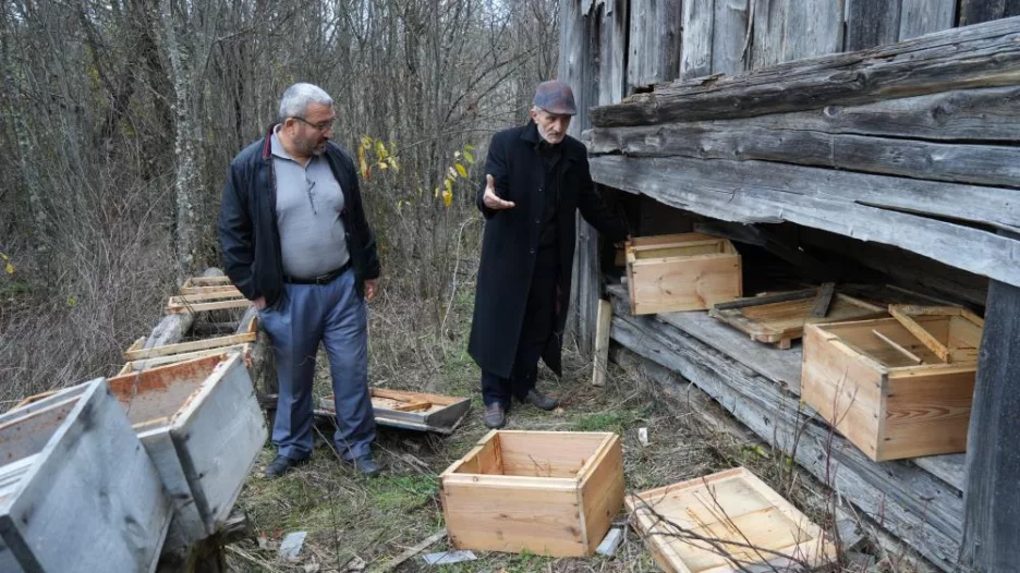 Kış uykusuna yatamayan ayılar, indikleri köyde 50 arı kovanını parçaladı