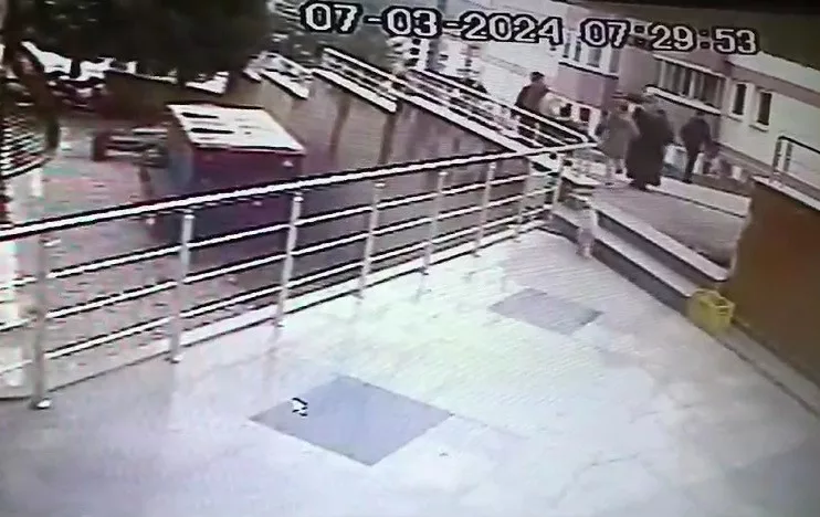 sokak kedilerine carpan suruculere 14 bin 432 lira ceza HvkXJfwh jpg