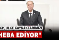 Akay: “AKP, Ülke Kaynaklarımızı Heba Ediyor”