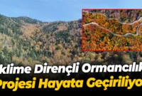 İklime Dirençli Ormancılık Projesi Hayata Geçiriliyor