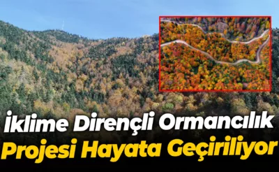 İklime Dirençli Ormancılık Projesi Hayata Geçiriliyor