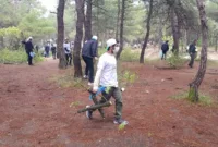 Öğrenciler ormandaki yanıcı materyalleri temizledi