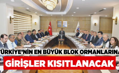 Türkiye’nin en büyük blok ormanlarına girişler kısıtlanacak