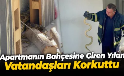 Apartmanın bahçesine giren yılan vatandaşları korkuttu