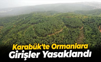 Karabük’te Ormanlara Girişler Yasaklandı