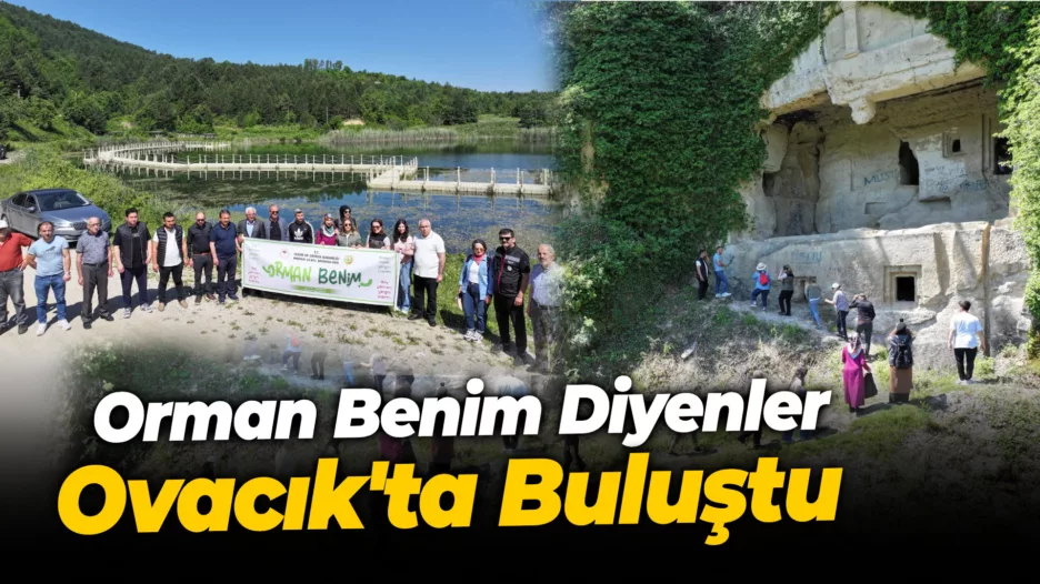 Orman Benim Diyenler Ovacık’ta Buluştu