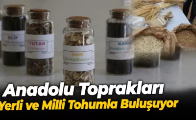 Anadolu Toprakları Yerli ve Milli Tohumla Buluşuyor