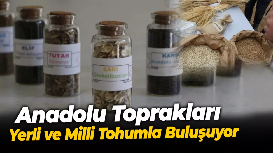 Anadolu Toprakları Yerli ve Milli Tohumla Buluşuyor