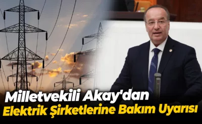 Milletvekili Akay’dan Elektrik Şirketlerine Bakım Uyarısı