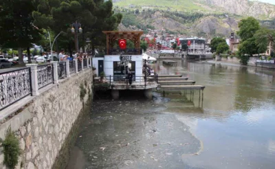 Amasya’da Yeşilırmak Nehri’nde balık ölümleri: Balık tutanlar ‘zehirli olabilir’ diye uyarıldı