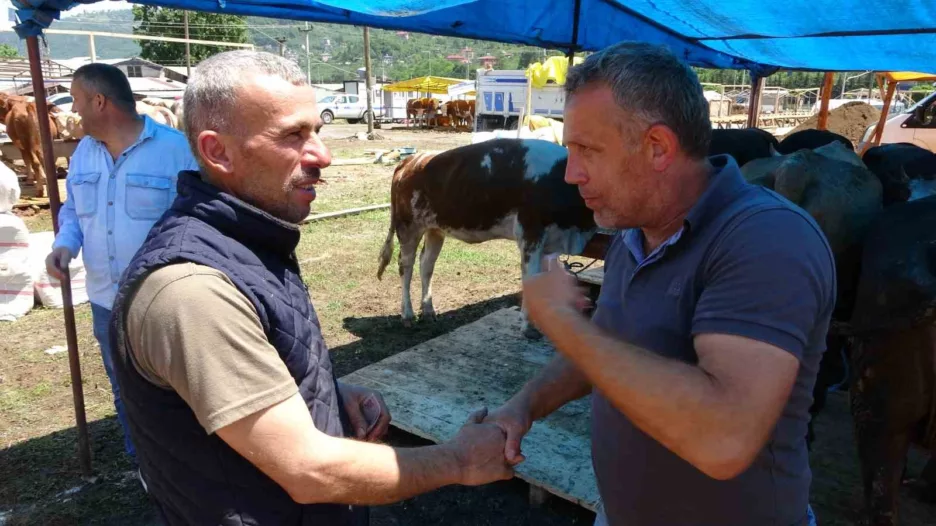 kurban pazarlarinda siki pazarliklar basladi PKby884m