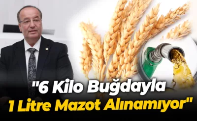 Akay: “6 Kilo Buğdayla 1 Litre Mazot Alınamıyor”