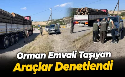 Orman Emvali Taşıyan Araçlar Denetlendi