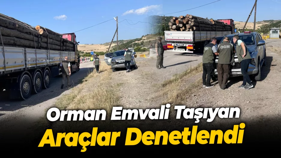 Orman Emvali Taşıyan Araçlar Denetlendi