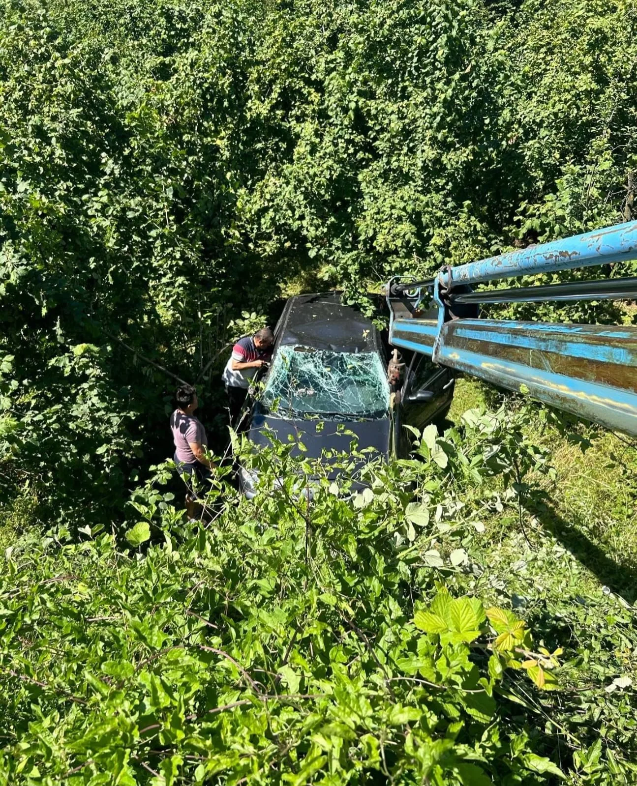 otomobil findik bahcesine uctu surucu kazadan yara almadan kurtuldu V8Z8tCWA jpg