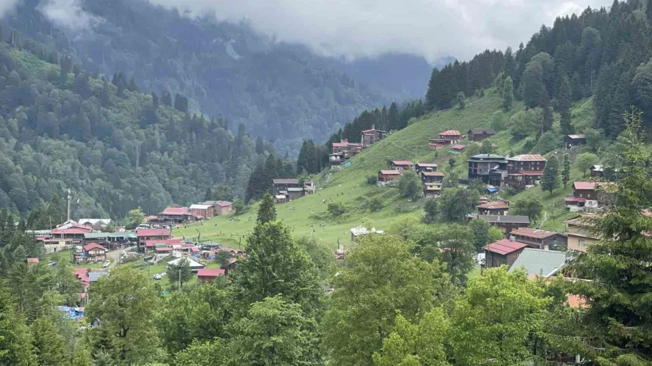 rize valisi baydas burada niyetlenen sey ayderi gelecege tasimak jNcOPYNQ