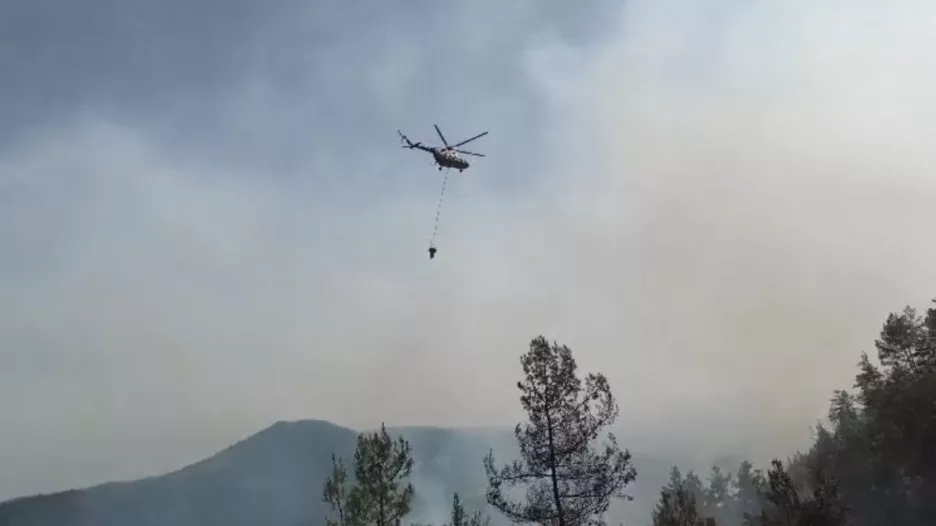 Sinop’taki orman yangını