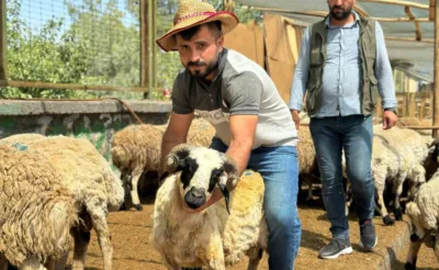 Diyarbakır’da hayvan pazarlarında bayramın son günü yoğunluk arttı