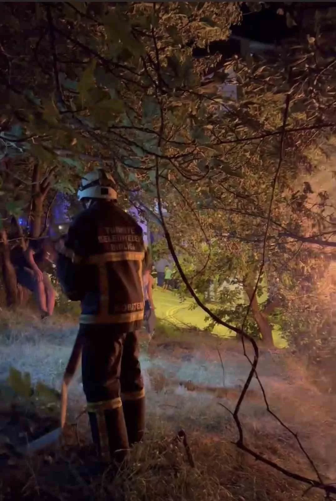 zonguldakta kumes yangini korkuttu vQ37Exbp jpg