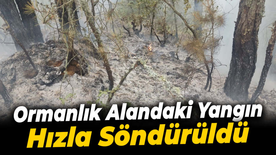 Ormanlık alandaki yangın büyümeden söndürüldü