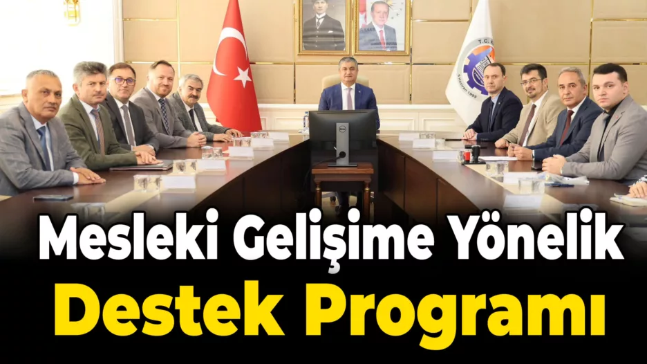 Mesleki Gelişime Yönelik Teknik Destek Programı