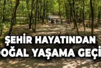 Şehir Hayatından Doğal Yaşama