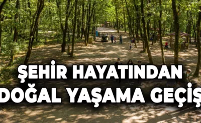 Şehir Hayatından Doğal Yaşama